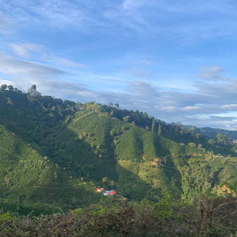 8/1�������ƥޥ顡���ޥ�ƥʥ󥴡��֥�ܥ� 2��/2����