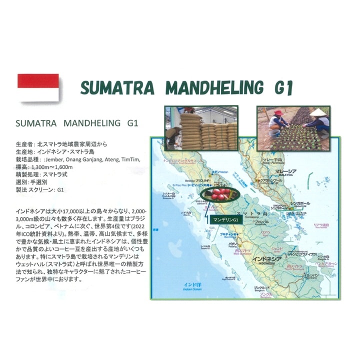 8/1�� ����ɥͥ������ޥ�ǥ��G1  24/25