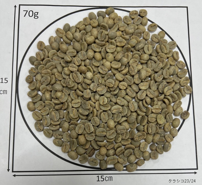 顼ɡ֥ܥ󡦥饷 23/24