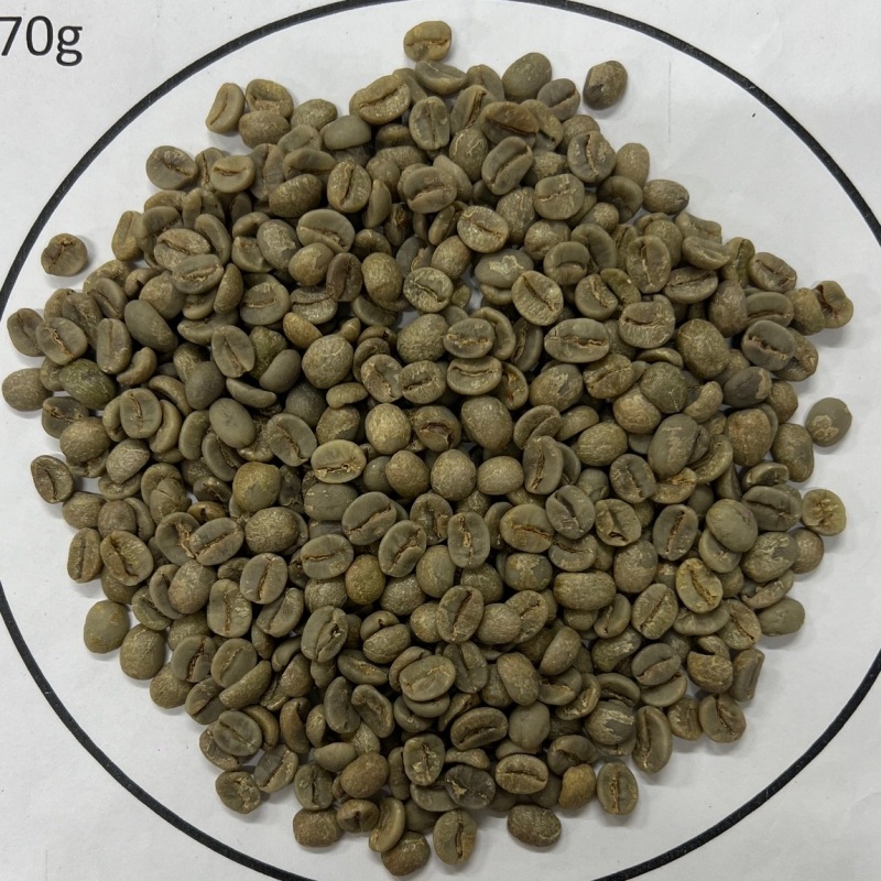 5/1顼ɡ֥ܥ󡦥饷 24/25