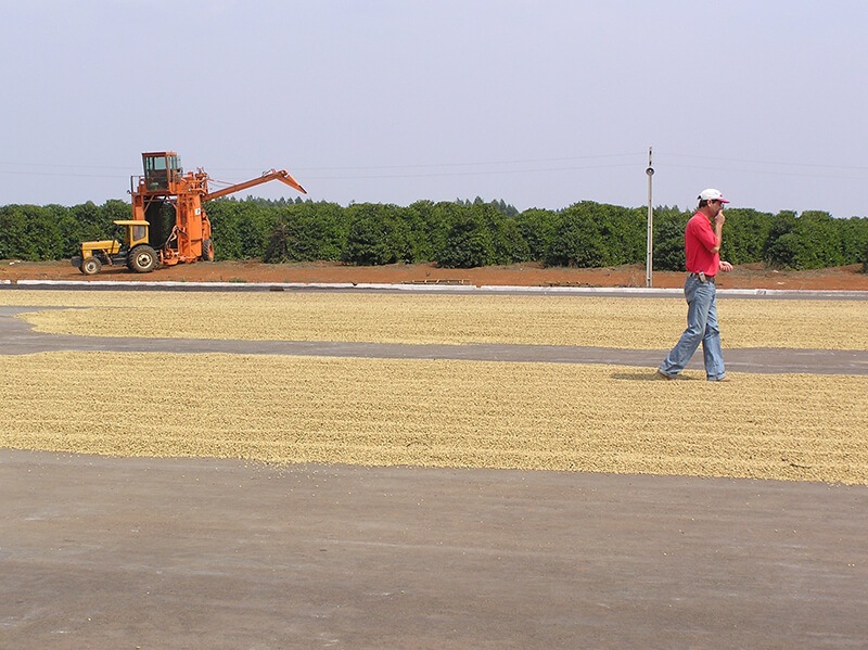 5/1�����顼�ɡ��֥�ܥ󡦥ԡ��٥꡼ Pulped-Natural 24/25