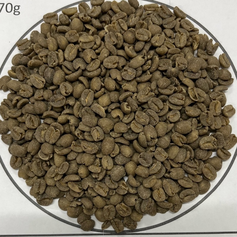 顼ɡǥեSWISSWATERץ22/23