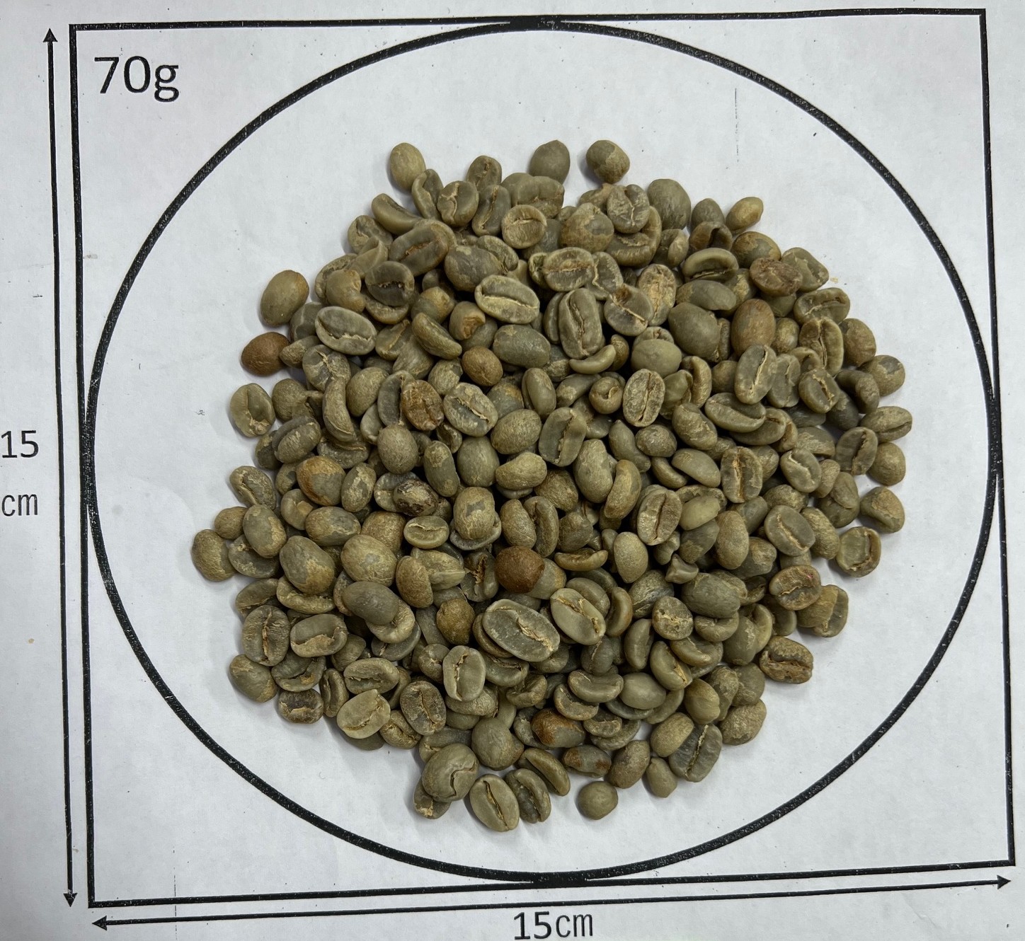 �����ƥޥ顦���������ƥʥ󥴡�Fully Washed��24/25