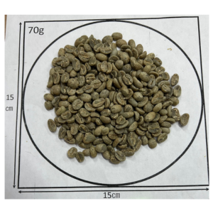 �����ƥޥ顦���ƥ��ȥ�󡦥���ɥ˥����� Fully Washed 24/25