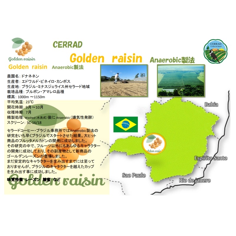 5/1�����顼�� ������ǥ�졼����Anaerobic��ˡ24/25