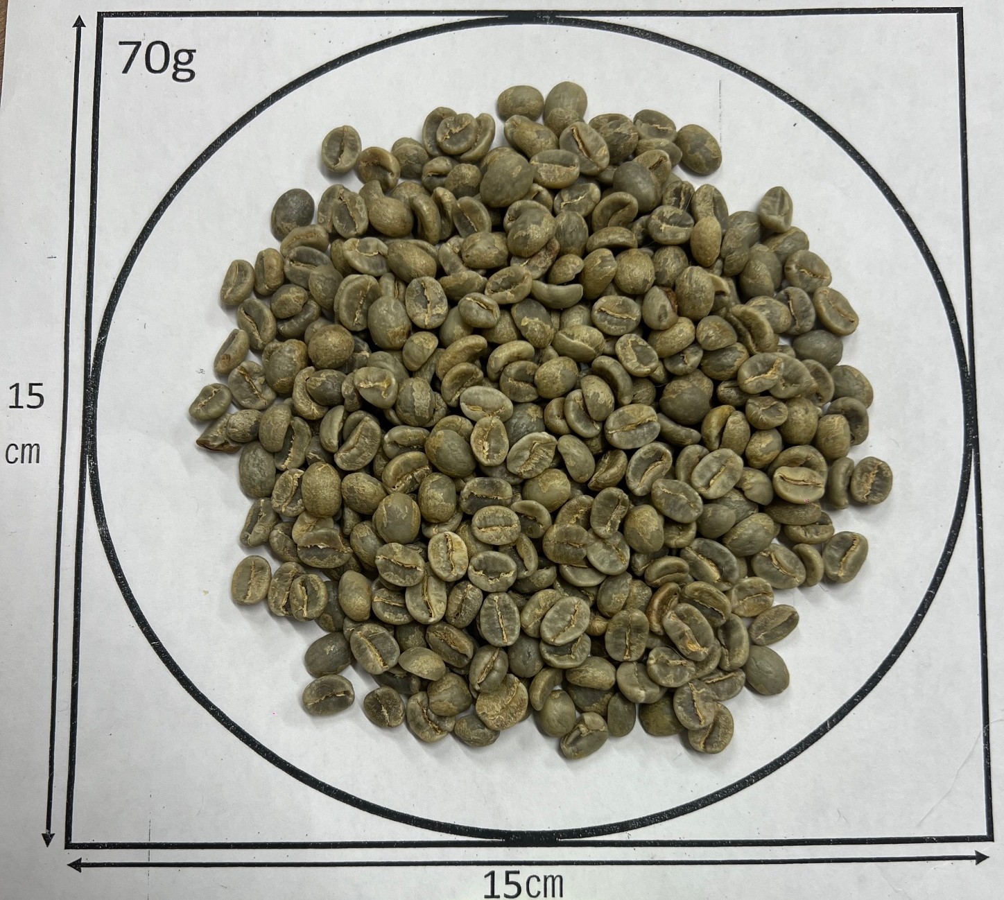 �����ƥޥ顦����ƥ����������롦���ڥƥ����������� 24/25 FullyWashed