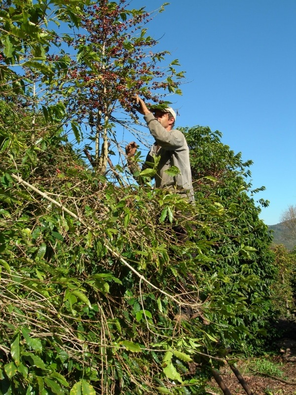 5/22 ⥸ʡץߥࡦܥ 24/25