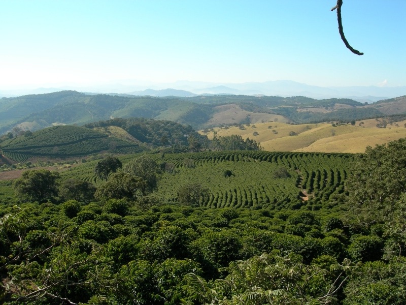 5/22 ⥸ʡץߥࡦܥ 24/25