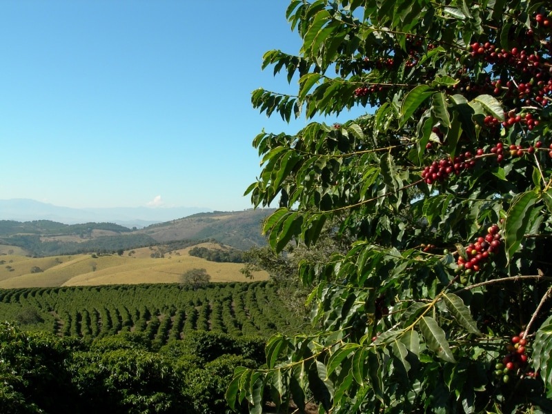 5/22 ⥸ʡץߥࡦܥ 24/25