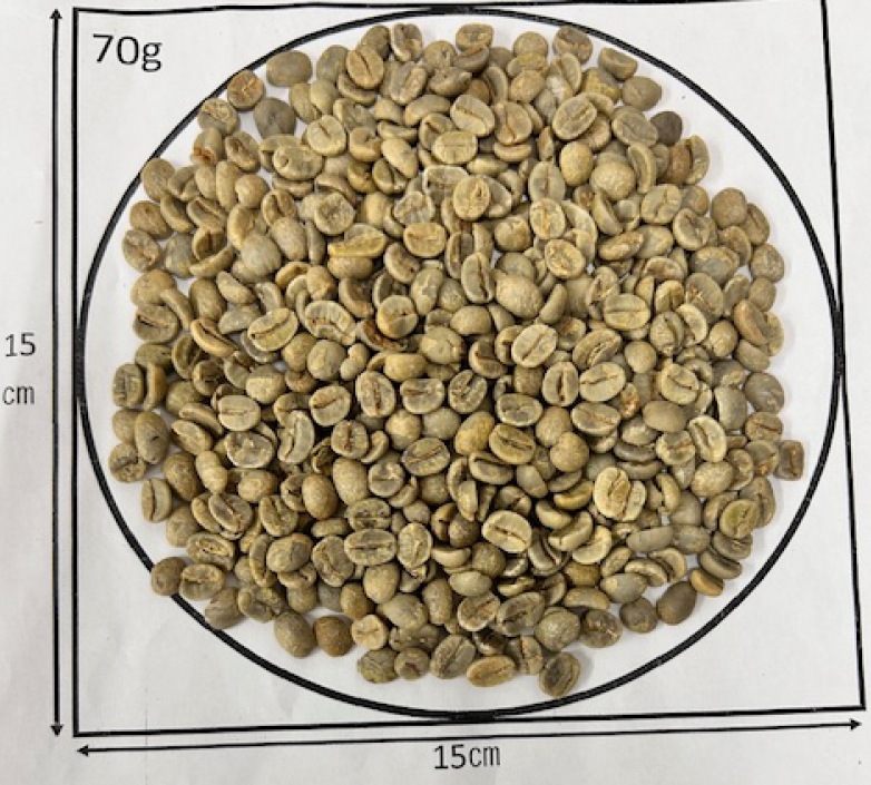 5/22 ⥸ʡץߥࡦܥ 24/25