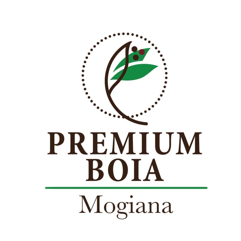 5/22 ⥸ʡץߥࡦܥ 24/25