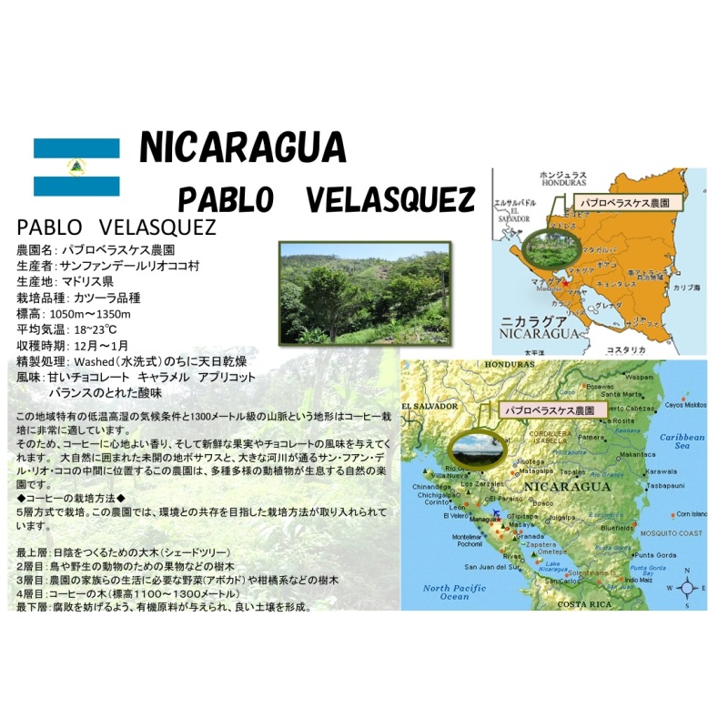 �˥��饰�����ѥ֥��٥饹�������ࡡFully Washed��24/25