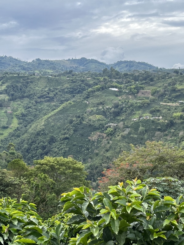 ӥ顦ɥߥ Fully Washed 24/25