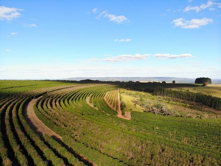 ȡϡɡݥRoad to Brazil 2024/2025ͽƦ