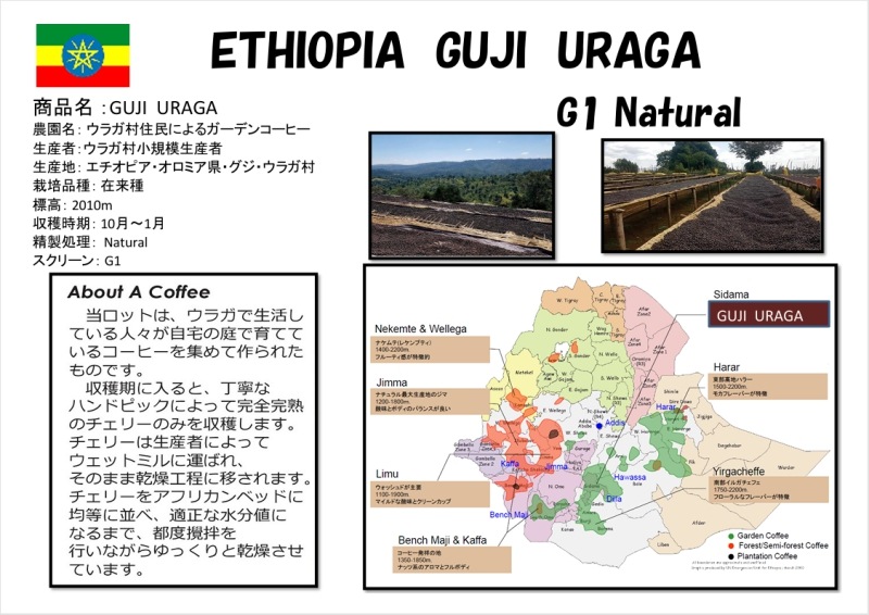 �������ԥ� ���륬�����ե����٥���G1��Natural��24/25)