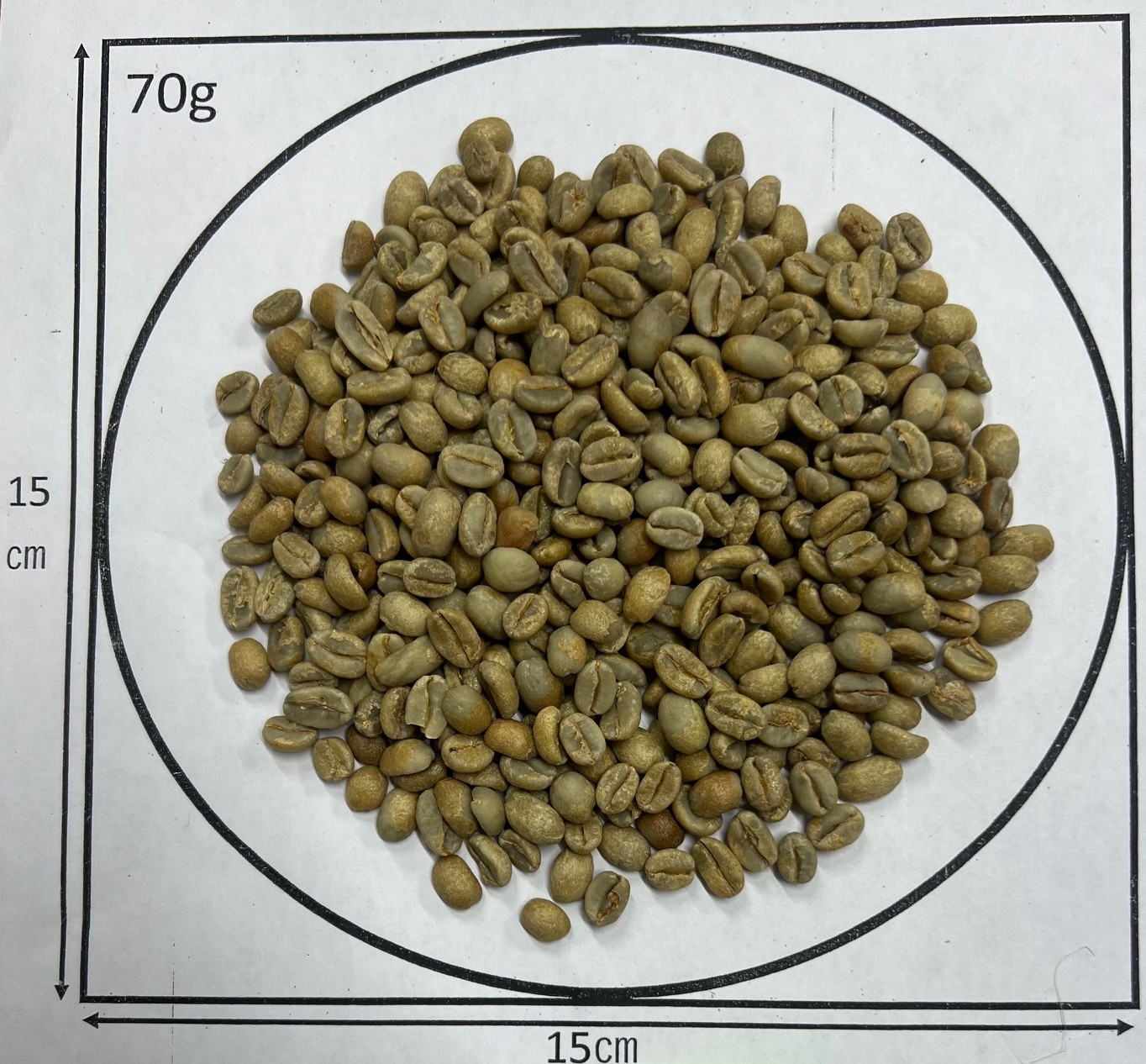 �������ԥ� ���륬�����ե����٥���G1��Natural��24/25)