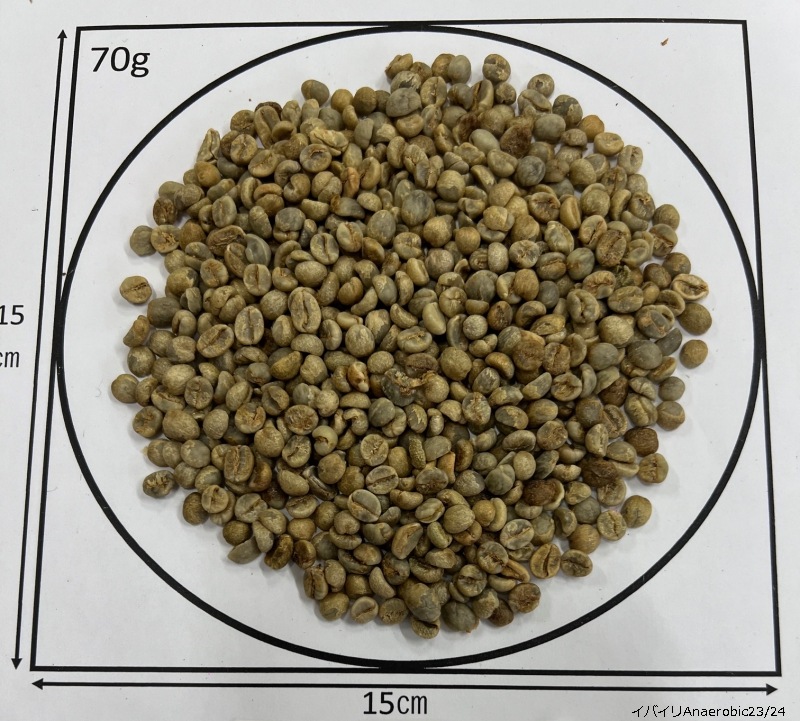 ݥХAnaerobicˡ ɥʥͥͥࡡ23/24ڥޥɥ