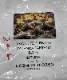 5/1�� ������ʼ磻�Х��ꡡ�ѥ󥿥����� 23/24
