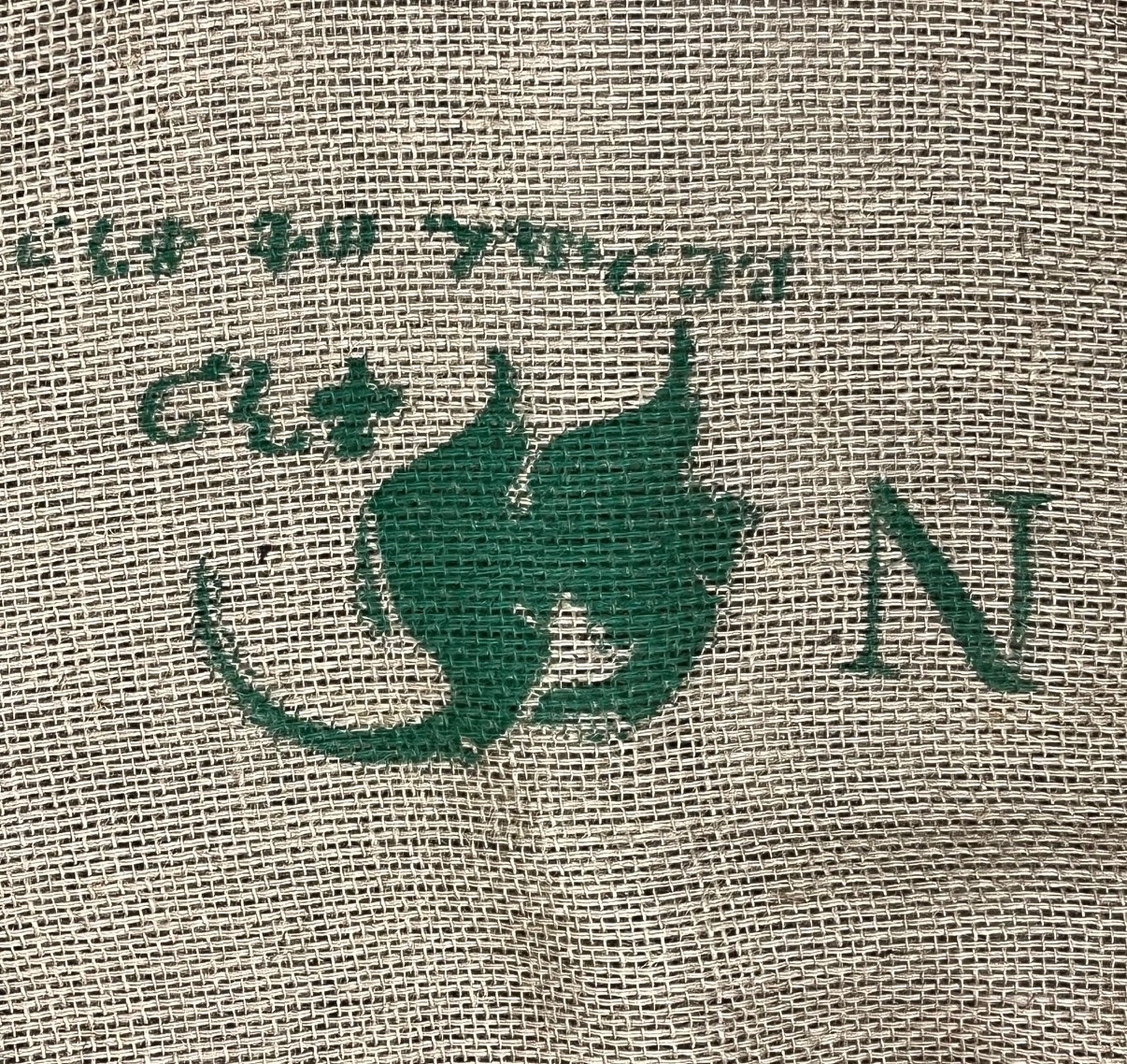 ԥ륬եWOTEG1Natural24/25)