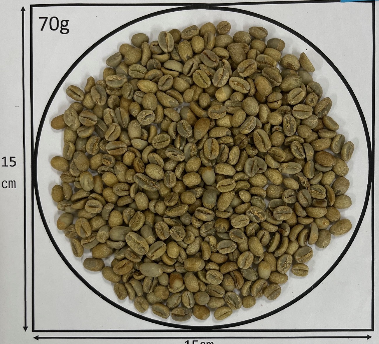 ԥ륬եWOTEG1Natural24/25)