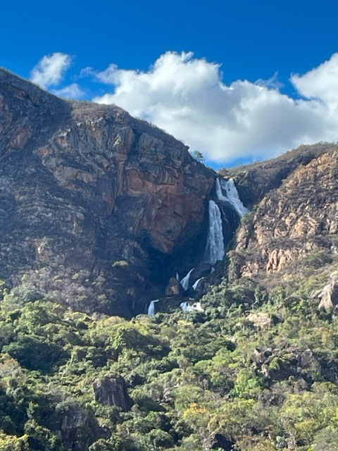 5/1�� �����٥꡼���졼���󡡡ڥޥɥ�������������