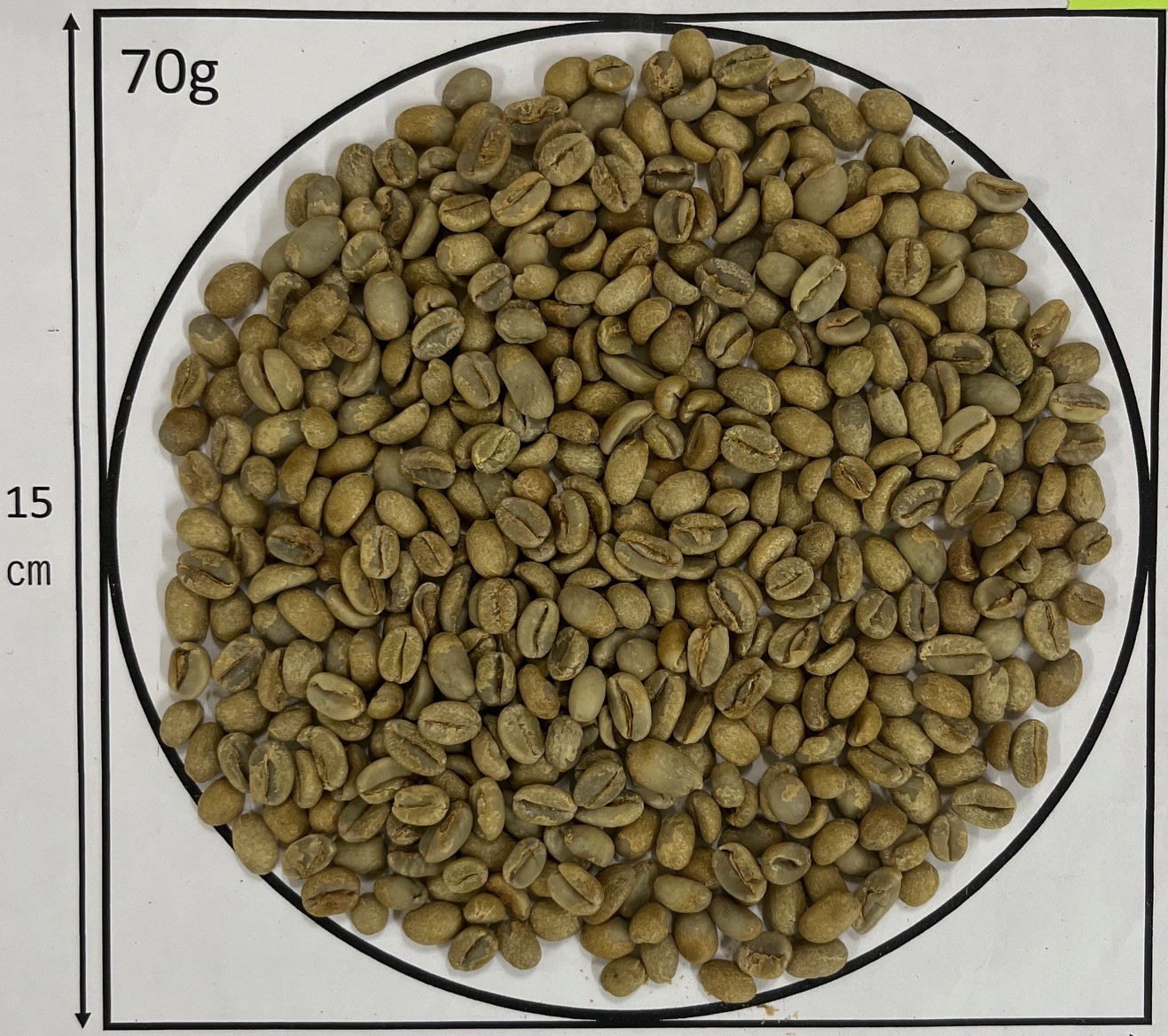 �������ԥ��������⡦�ʥ󥻥ܡ�G1��Natural��24/25)��