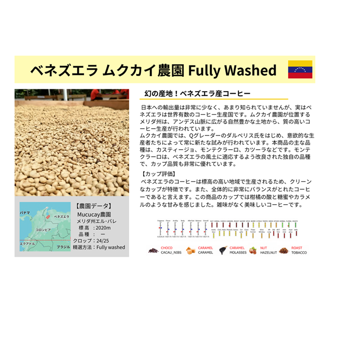 5/11~ �����λ��ϡ�  �٥ͥ�����͢������ץ���������  �९���������ġ��� Fully Washed (25/26)