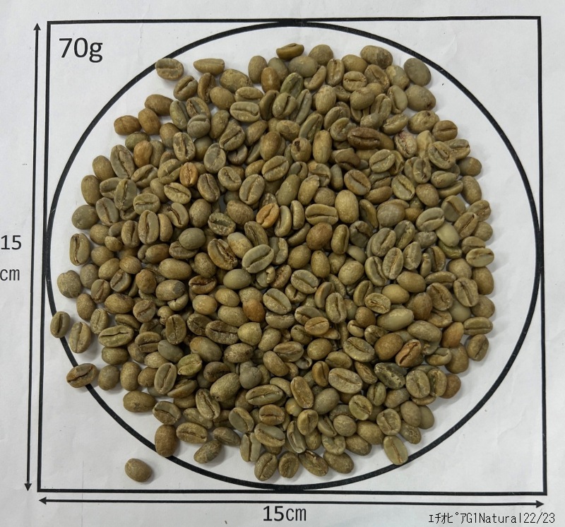 ԥ륬եG1 Natural 22/23