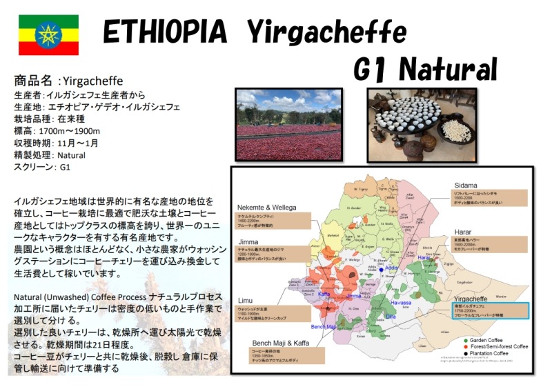 ԥ륬եG1 Natural 22/23