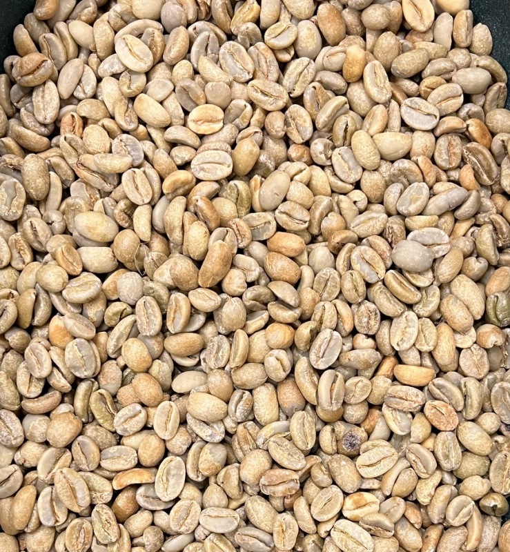 ԥ륬եG1 Natural 22/23