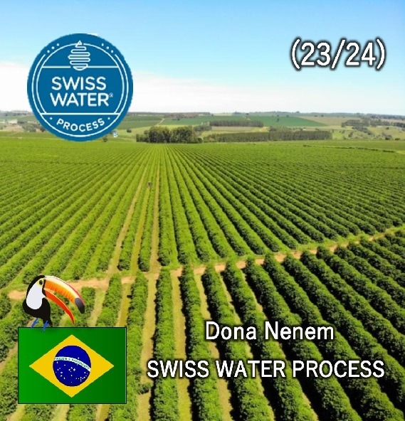 5/1�� ���顼�ɡ��ɥʥͥͥ����� �ǥ��ե� Natural��23/24