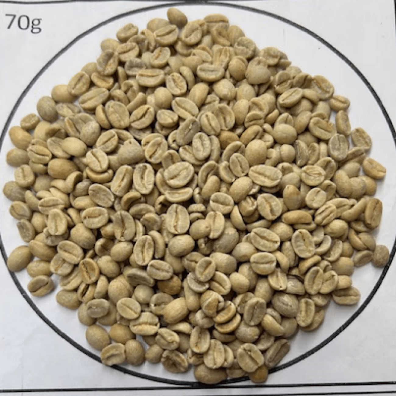 5/11�����٥ͥ����顦�९�������ॲ������ Fully Washed (24/25)