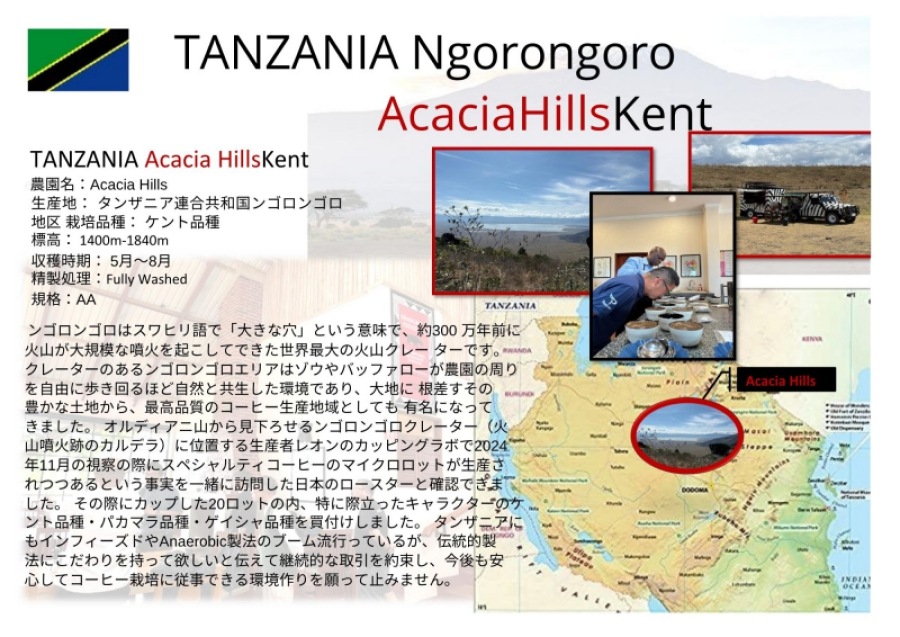 ���󥶥˥����󥴥��󥴥������������ҥ륺��������ʼ New crop 2��/2��