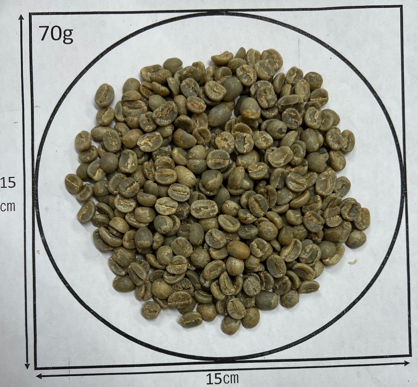 ���󥶥˥����󥴥��󥴥������������ҥ륺��������ʼ New crop 2��/2��