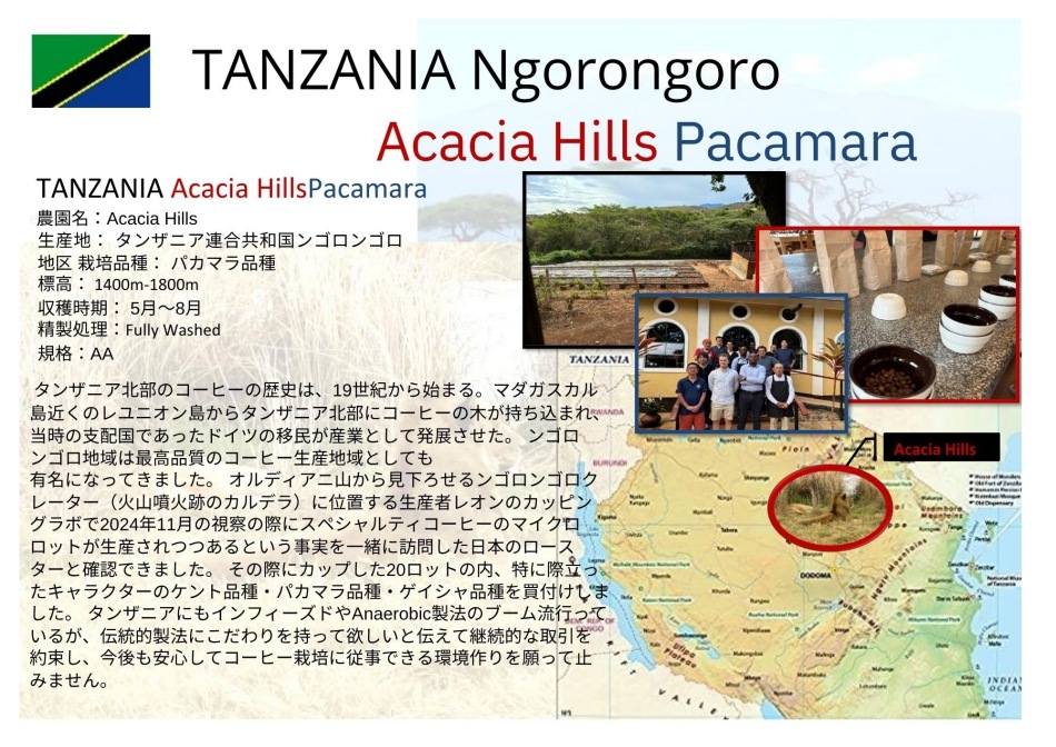 ���󥶥˥����󥴥��󥴥������������ҥ륺���ѥ��ޥ��ʼ New crop 2��/2��