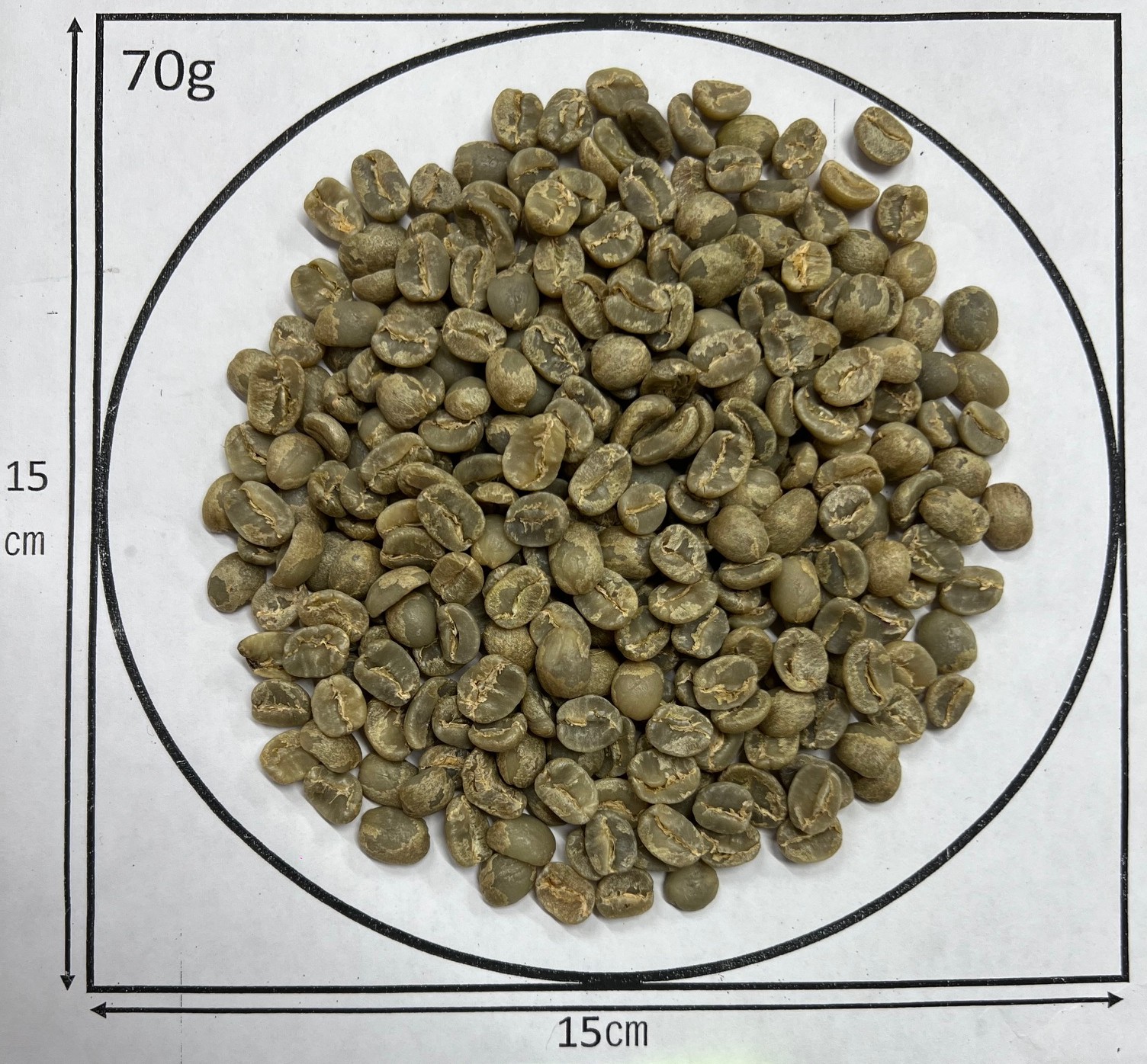 ���󥶥˥����󥴥��󥴥������������ҥ륺���ѥ��ޥ��ʼ New crop 2��/2��