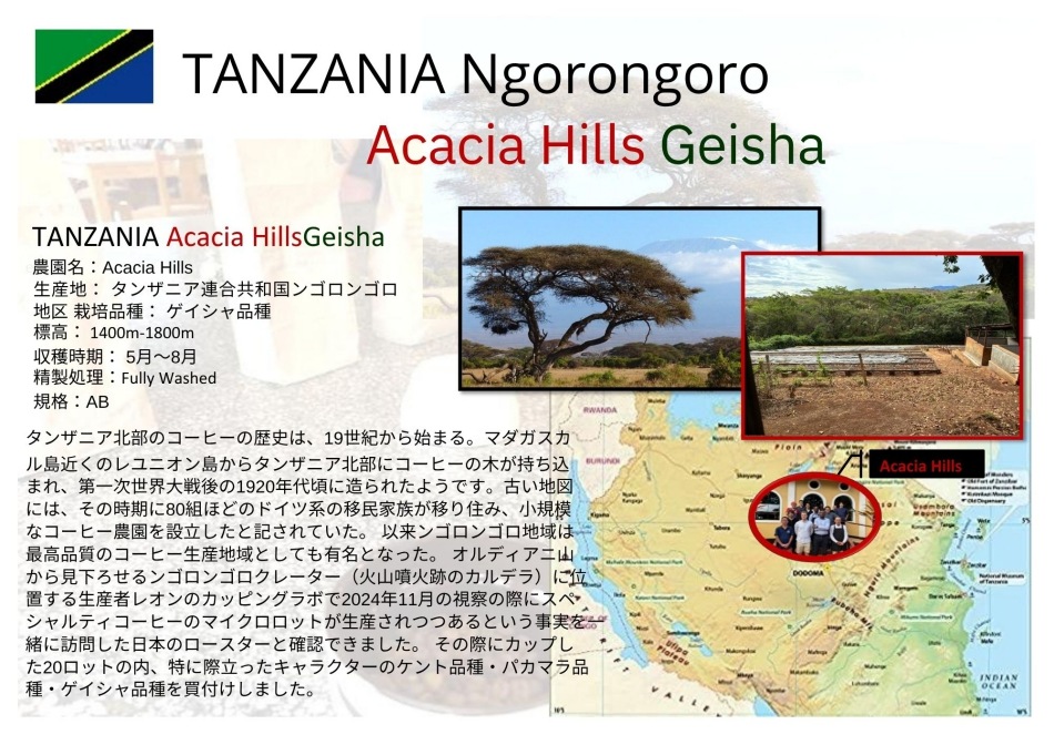 ���󥶥˥����󥴥��󥴥������������ҥ륺�����������ʼ New crop 2��/2��