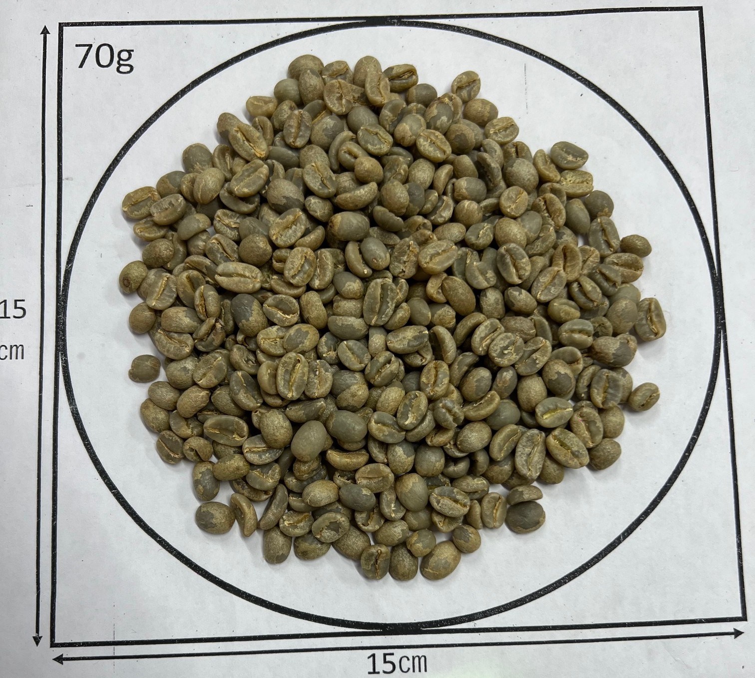 ���󥶥˥����󥴥��󥴥������������ҥ륺�����������ʼ New crop 2��/2��