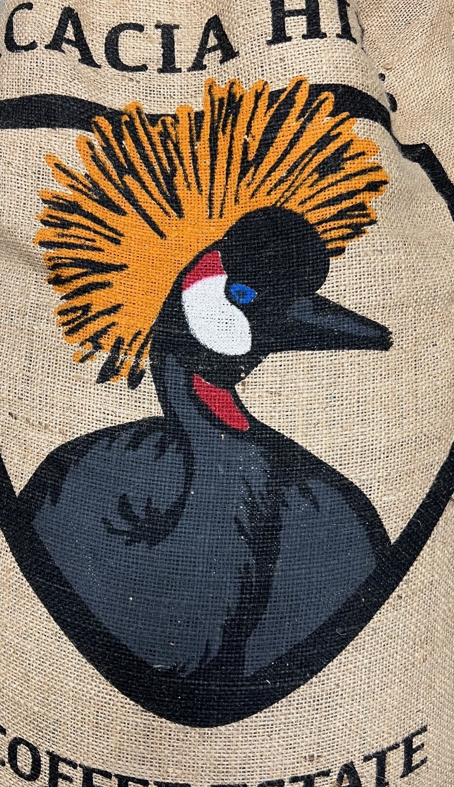 ���󥶥˥����󥴥��󥴥������������ҥ륺�����������ʼ New crop 2��/2��