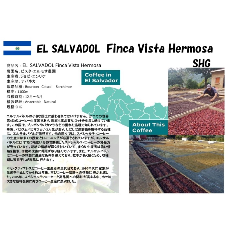 5/1�� ���륵��Хɥ롦�ե��󥫡��ӥ���������⥵��Anaerobic��Natural��21/22