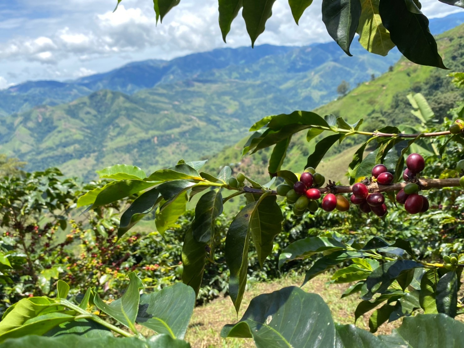 ������ ������ӥ����ȥ�ޡ��������˥å����ǥ��ե�  crop24/25