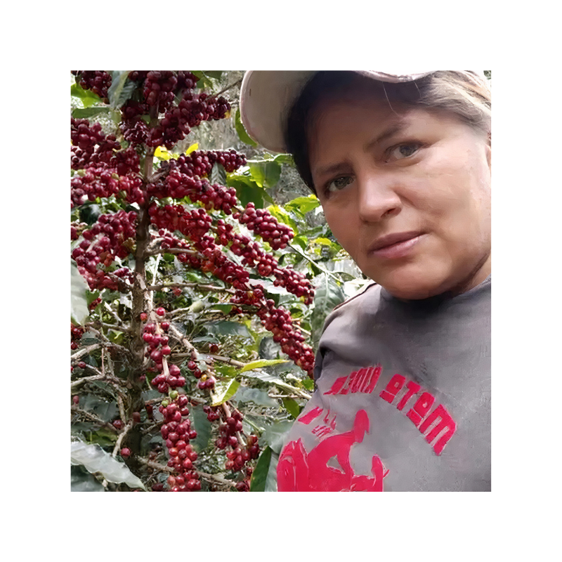 ������ ������ӥ����ȥ�ޡ��������˥å����ǥ��ե�  crop24/25