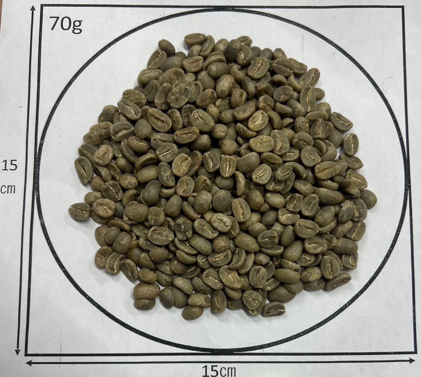 �ϥ���������ӥ��󡦥֥롼 ��24/25