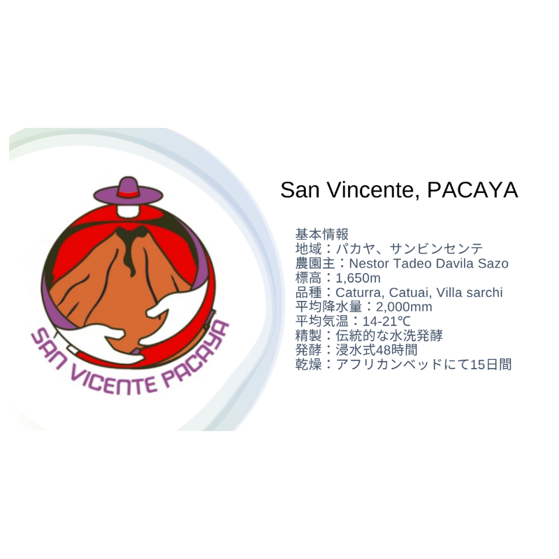 �����ƥޥ顦����ӥ󥻥�ơ��ѥ��� Washed 21/22