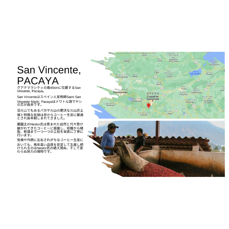 �����ƥޥ顦����ӥ󥻥�ơ��ѥ��� Washed 21/22