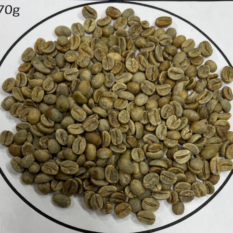 ֥饸롦ߥʥ󥸥祼२ץåNatural 23/24