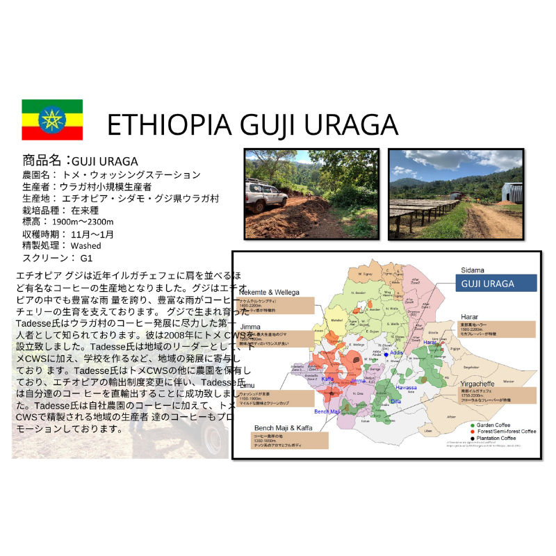 �������ԥ������������饬 G1 Wased 21/22