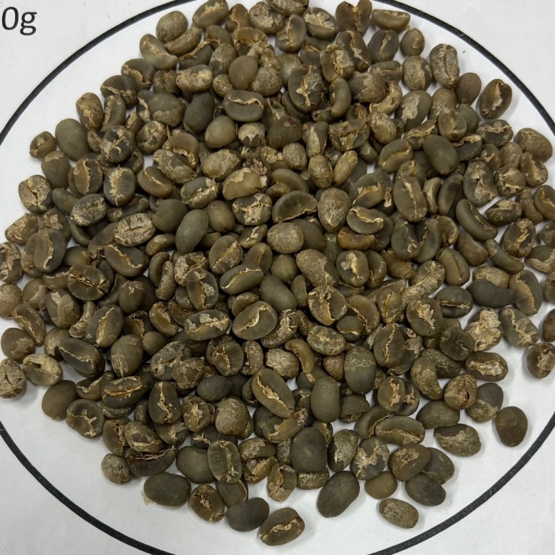 5/20�� ���ޥȥ��硦���������ޥ���ƥ� �������ν��໳�������̥��åȡ�23/24