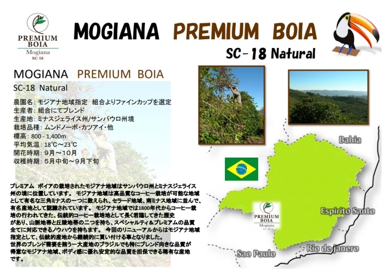 �⥸���ʡ��ץ�ߥ��ࡦ�ܥ��� 25/26