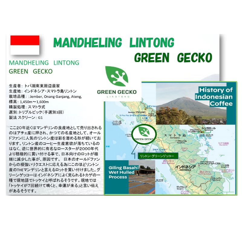 5/1�� �ޥ�ǥ�󡦥��ȥ󡦥��꡼�󥲥å�����Newcrop24/25